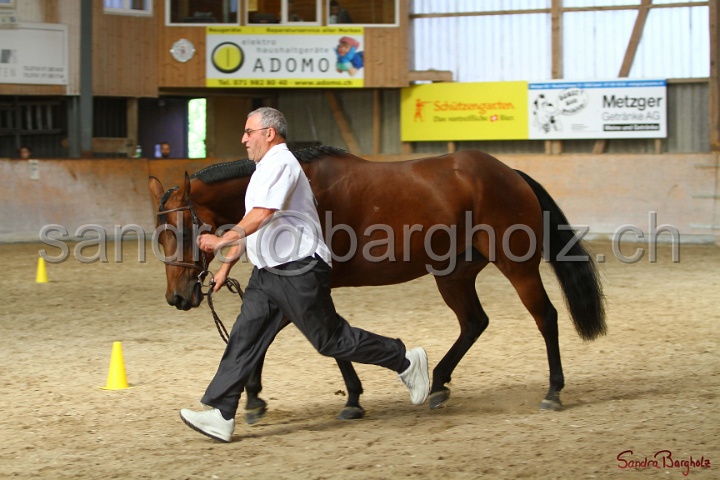 24-ApHC HIH_029.jpg